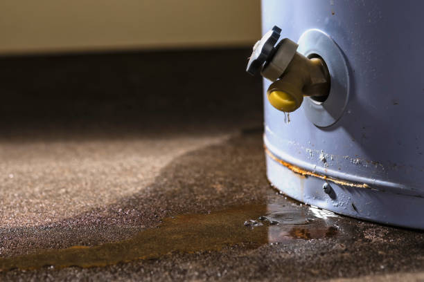 Best Water damage contractors near me  in Urania, LA