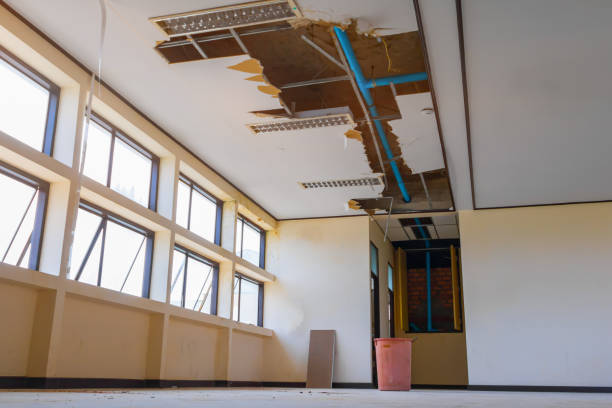 Best Local water damage restoration  in Urania, LA