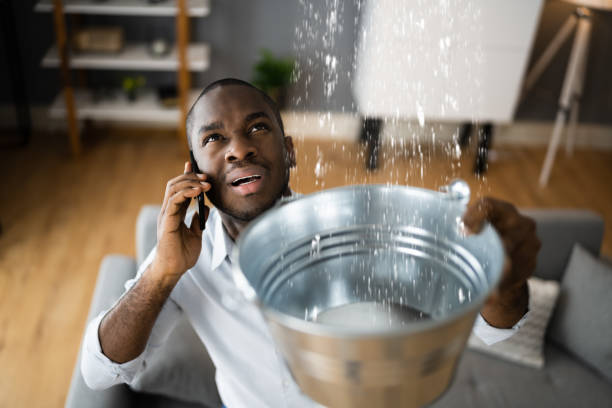 Best Water damage restoration cost  in Urania, LA