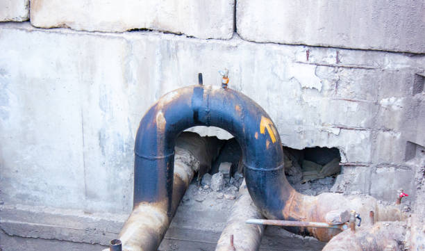 Best Water damage restoration near me  in Urania, LA