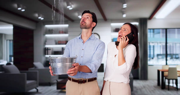 Best Fire Damage Restoration  in Urania, LA