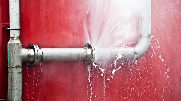 Best 24/7 water damage repair  in Urania, LA