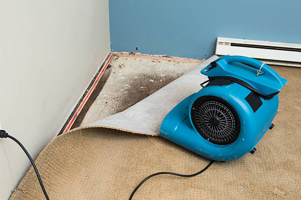 Best Residential water damage restoration  in Urania, LA